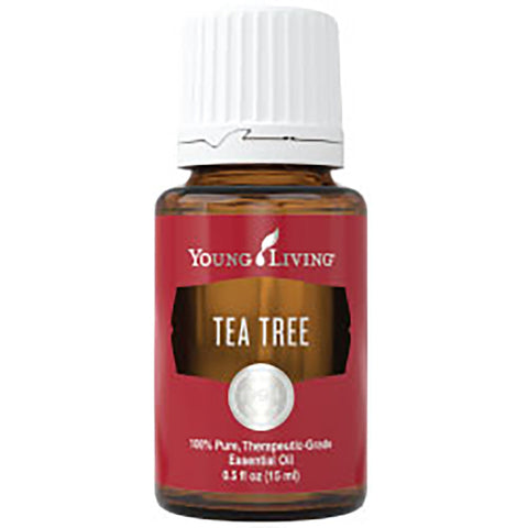 Essential Oil - Tea Tree (Melaleuca Alternifolia)